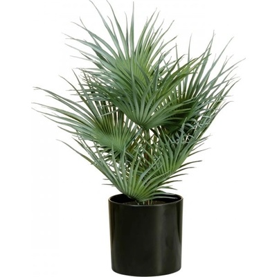 Fan palma, 55cm