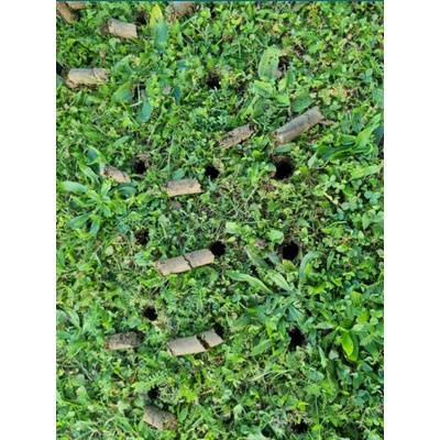 Prevzdušňovač Strend Pro Garden, rúrkový, 4 hrotý, 30x102 cm