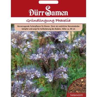 Dürr Samen Zelené hnojenie "Phacelia" - 40 g