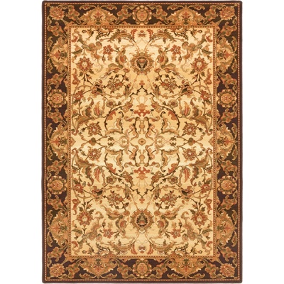 Agnella Agnus Starosta Sahara