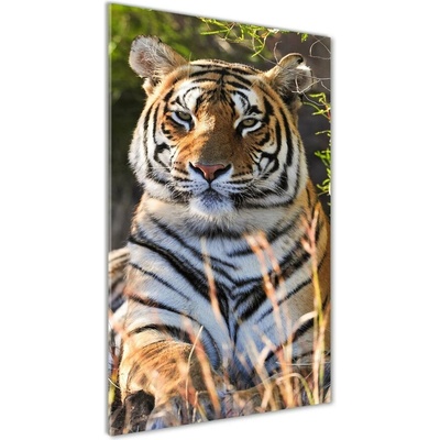 Vertikálny foto obraz fotografie na skle Tiger 50x100 cm