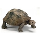 Schleich želva obrovská