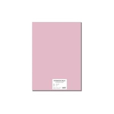 STEPA Barevný karton EXTRA 300g 50x70cm - růžový 10listů