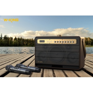 W-KING K6L Активни колони