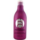 Šampóny Stapiz Šampón na okyslenie vlasov Acid Balance 300 ml