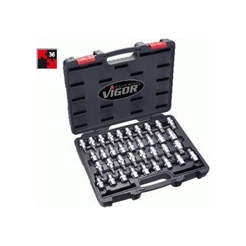 VIGOR V2496