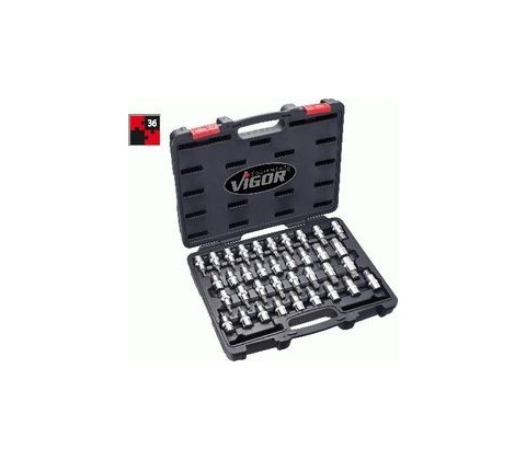 VIGOR V2496