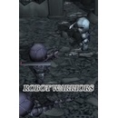 Robot Warriors