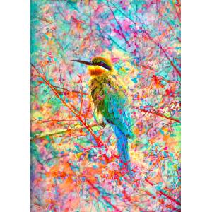 Enjoy - Puzzle Happy Bird - 1 000 piese