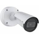 Axis Communications P1475-LE (03181-001)