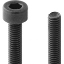 MP-Jet 0403 Šroub Imbus M2x8 10 ks