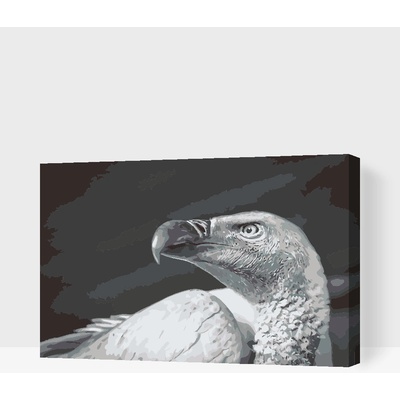 Vymalujsisam.cz Malování podle čísel Sup Velikost 40 x 60 cm Rámování Na kartonové desce