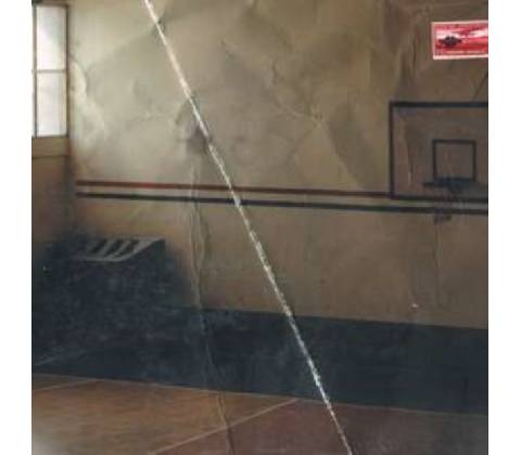 V/A - PIN-UP GIRLS- I LIKE THE LIKES OF YOU - MAGENTA LTD LP