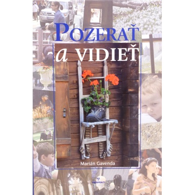 Pozerať a vidieť - Marián Gavenda