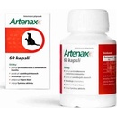 Folio Artenax 60cps