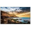 Samsung QE65T