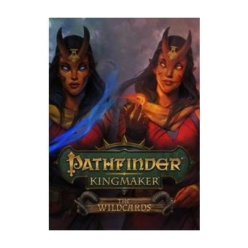 Deep Silver Pathfinder Kingmaker The Wildcards DLC (PC)