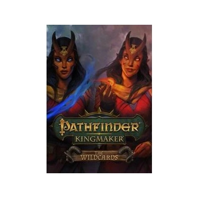Deep Silver Pathfinder Kingmaker The Wildcards DLC (PC)