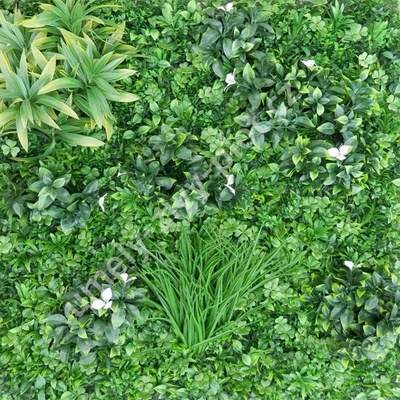 Umělá živá zelená stěna WALL GREEN 5A, 100 x 100cm