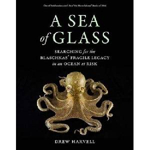 Sea of Glass | Drew Harvell (ISBN: 9780520303577)