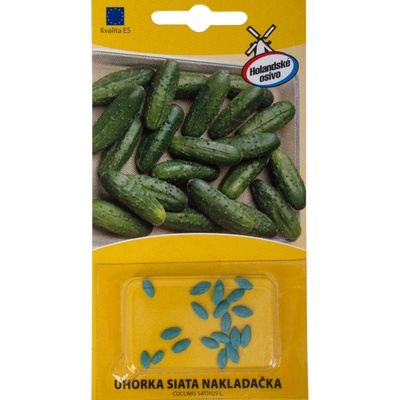 BIO uhorka nakladačka Diamant F1 - Cucumis sativus - bio semená uhorky - 8 ks