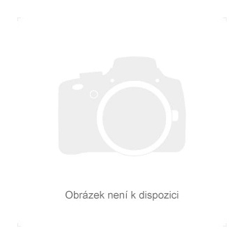 Lapačka Bauer Street SR