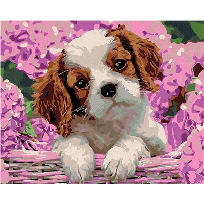 zuty Malování podle čísel Štěňátko a hortenzie 100 x 80 cm vypnuté plátno na rám