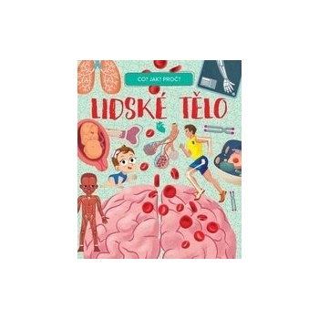 Lidské tělo