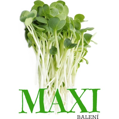 Vojtěška – semínka na klíčení 100g