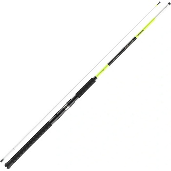 Daiwa Prút Sealine X´treme 2,25 m 100-250 g 2 diely