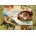 Bluebird Puzzle - Puzzle Michelangelo - The Creation of Adam, 1511 - 1 000 piese