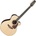 Takamine P7NC Natural