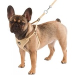Kerbl Puppy Harness - мек нагръдник с повод за кучета с обиколка на врата 24 - 44 см, размер XS - 81086