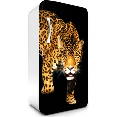 Dimex FR120-017 Samolepící fototapeta na lednice Panther rozměry 65 x 120 cm