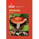 Holubinky