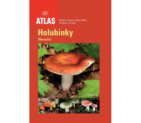 Holubinky