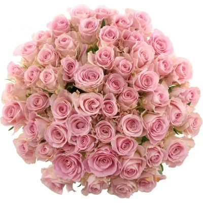 Kytice 55 růžových růží BABYFACE 60cm
