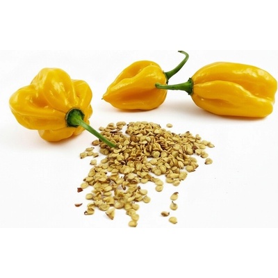 Habanero Yellow semínka 10 ks