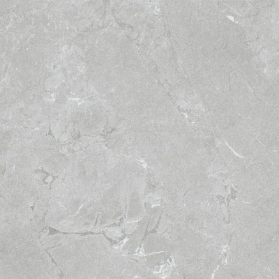 EBS Constanza 100 x 100 gray matná 2 m²