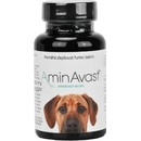Vitamíny a doplňky stravy pro psy M+H VET AminAvast dog 60 tbl