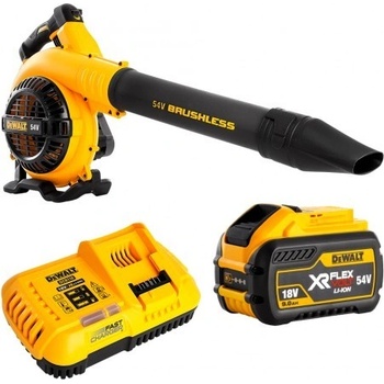 DeWalt DCM572X1