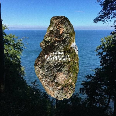 I AM OAK - OSMOSIS -DIGI- CD