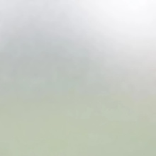 Rendl R12434