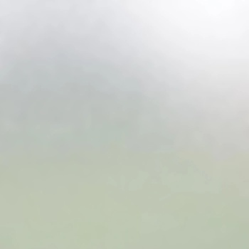 Rendl R12434