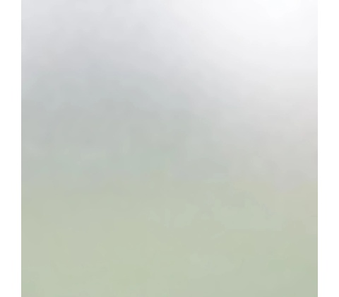 Rendl R12434