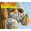 Cannon Fodder 3