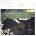 Fleet Foxes - Crack-Up (LP) (75597937381)