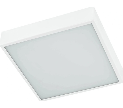 Prezent 8038