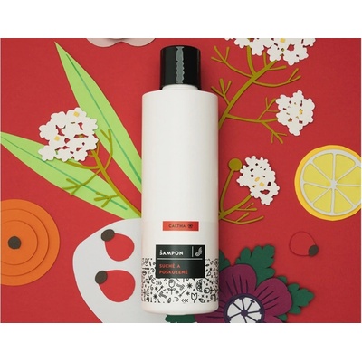 Caltha Tekutý šampon na suché a poškozené vlasy Bezový květ a Šípek 250 ml