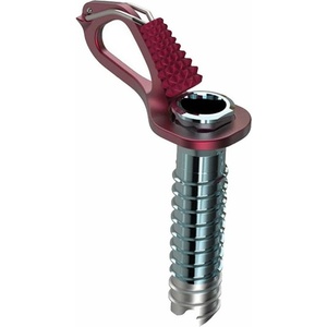 Blue Ice Aero Lite Ice Screw 10 cm Цвят: червен